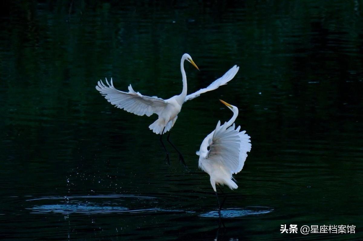 最容易得自闭症的星座