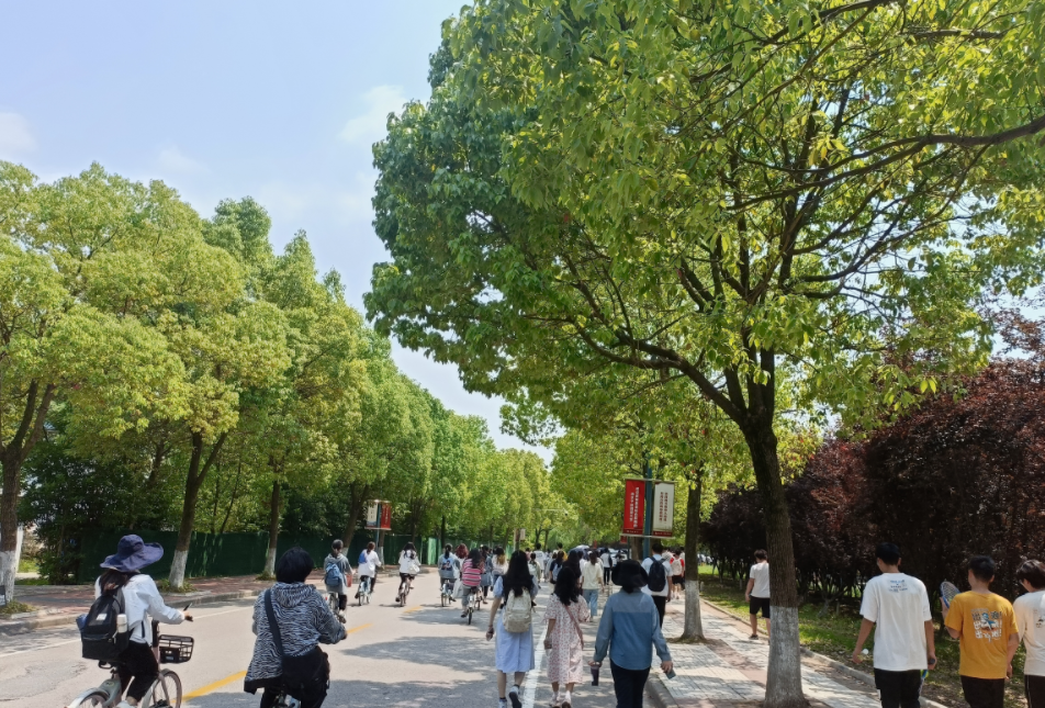 江苏最值得上的二本大学