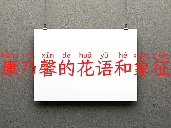 康乃馨的花语和象征