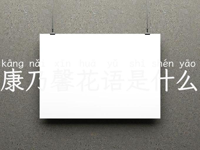 康乃馨花语是什么
