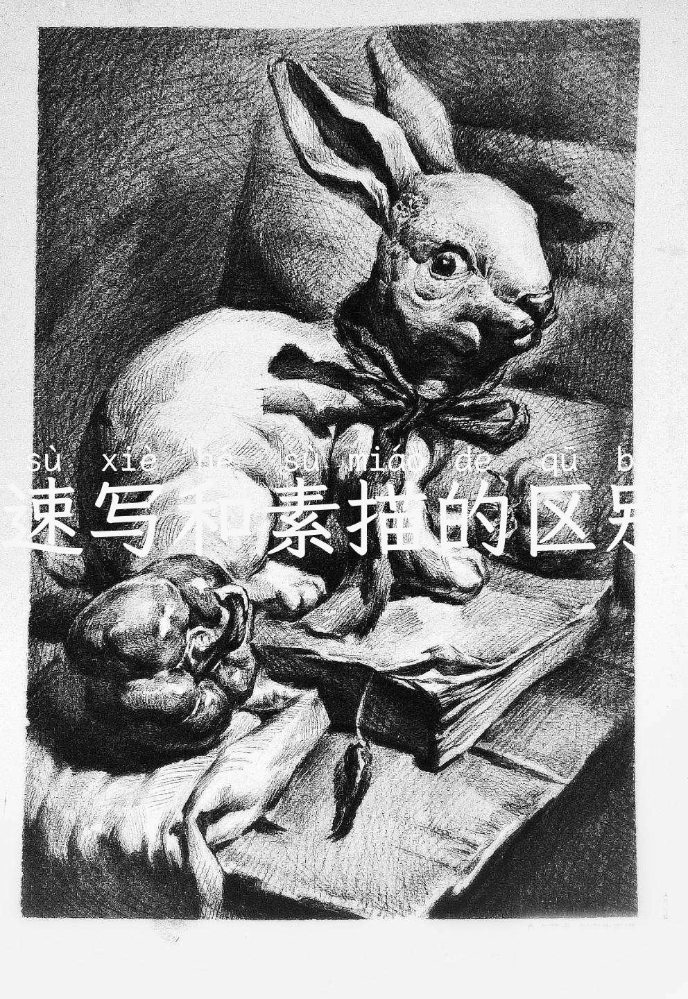 速写和素描的区别