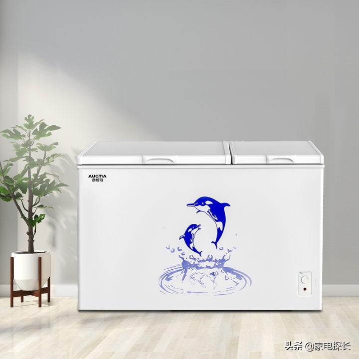 中国十大名牌冰柜有哪些牌子