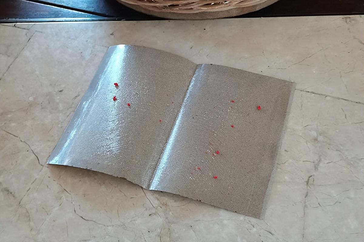 苍蝇在房间里乱飞怎么办