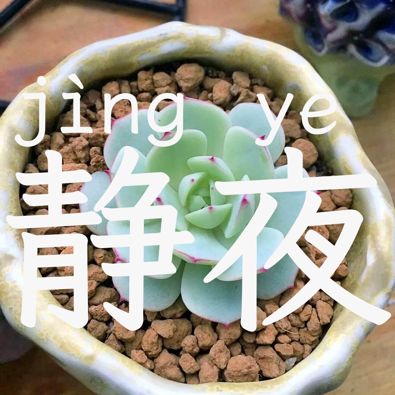 静夜