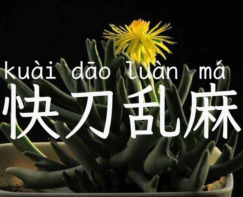 快刀乱麻