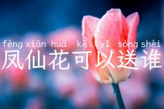 凤仙花可以送谁