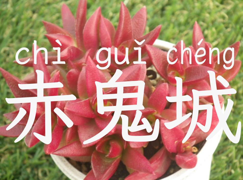 赤鬼城