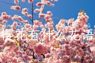 樱花有什么花语