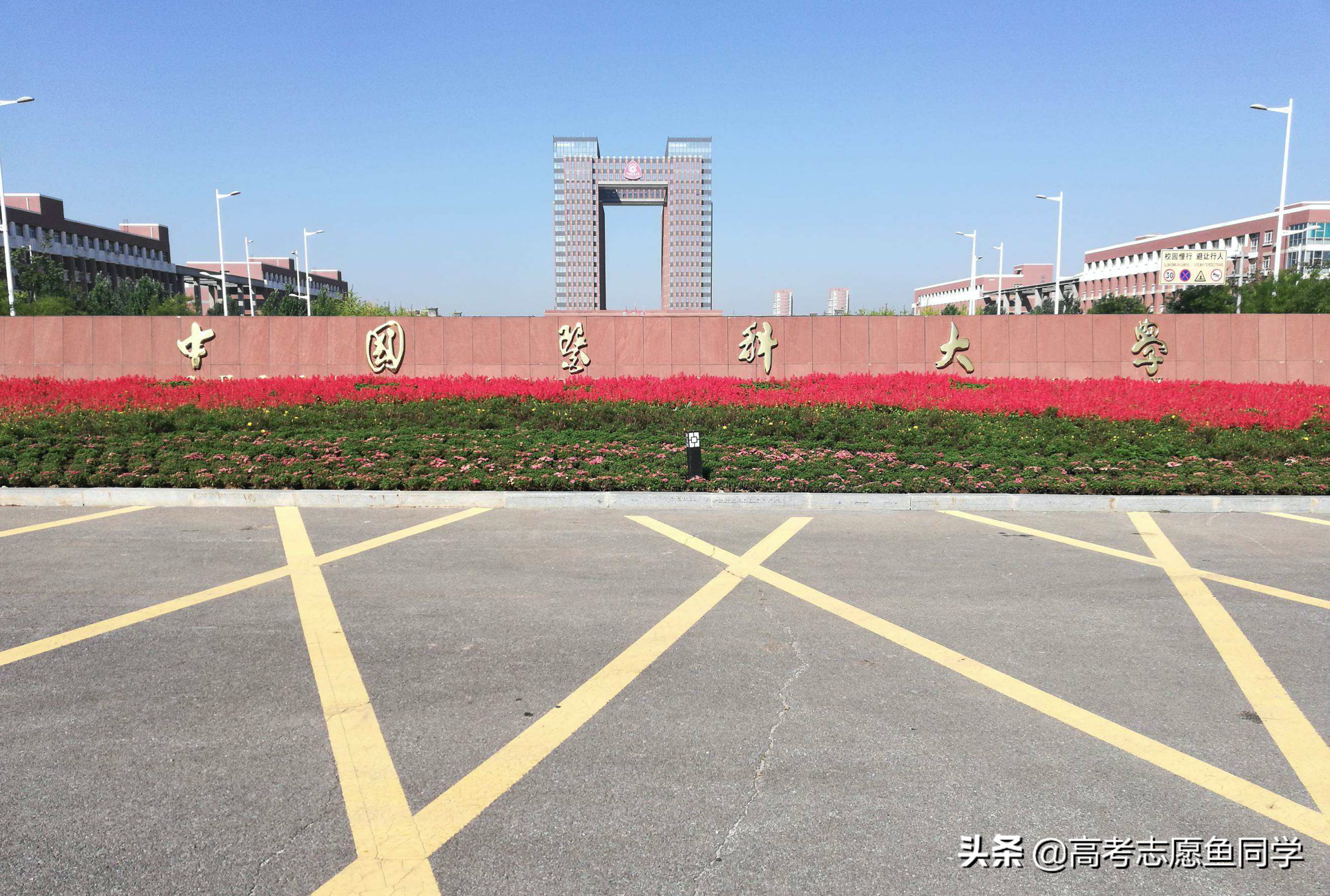 临床医学十大名校