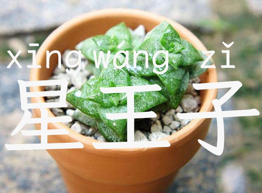 星王子