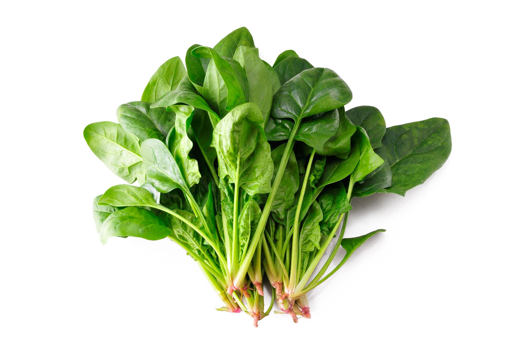 菠菜只留根能活吗，有什么影响？