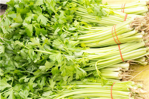 夏季适合种植什么农作物，种植方法有哪些