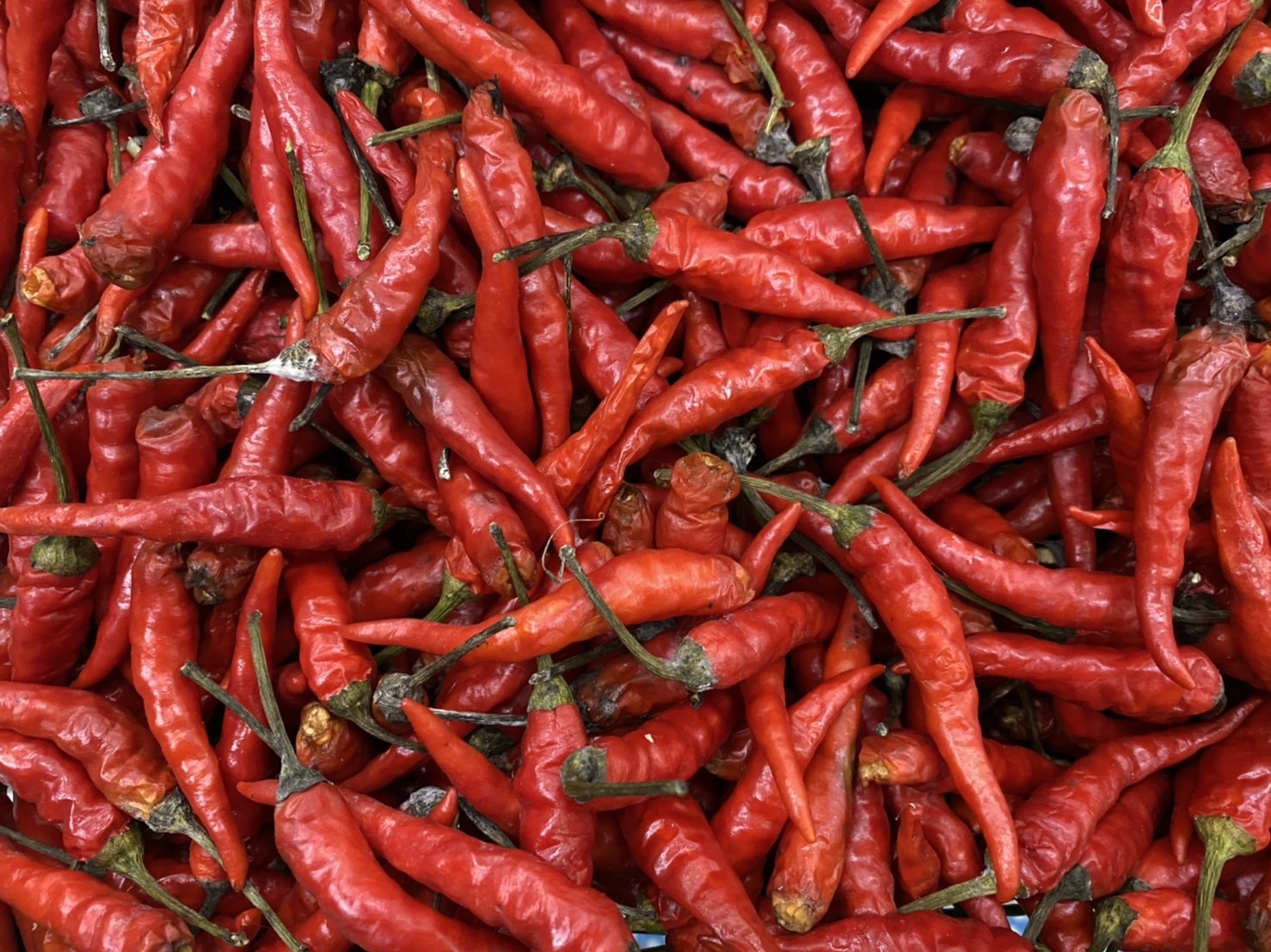 详细阅读:辣椒辣手怎么处理,6个方法让你不在辣手 辣椒辣手怎么处理,6个方法让你不在辣手