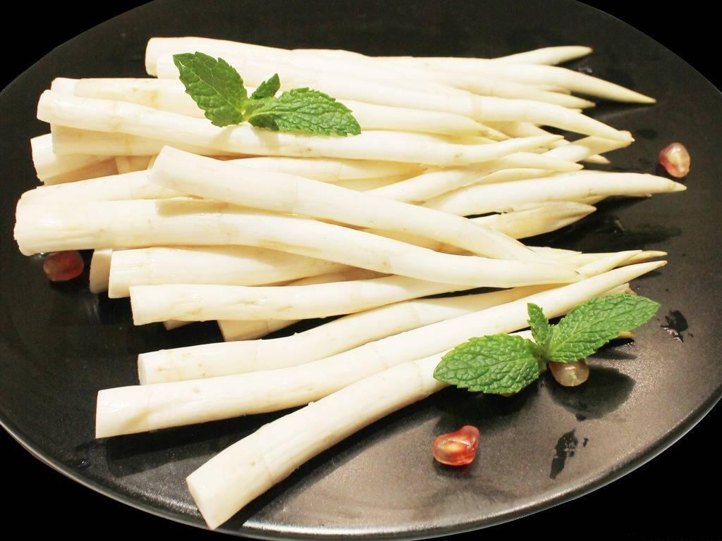 什么季节适合栽培草芽，草芽种植和播种的方法有哪些