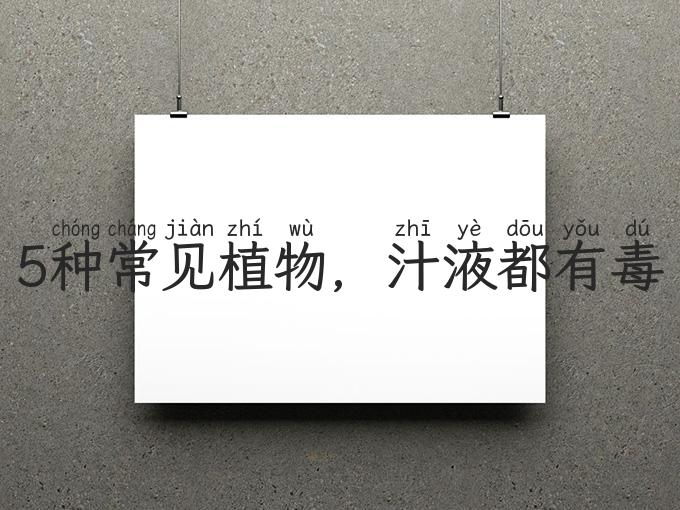 5种常见植物，汁液都有毒，养在家里少动它